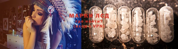PSILOCYBIN Беломорск