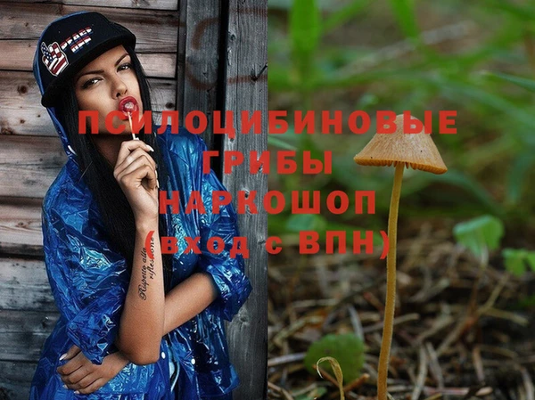 PSILOCYBIN Беломорск