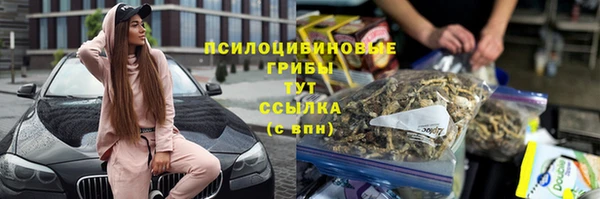 крисы Инта
