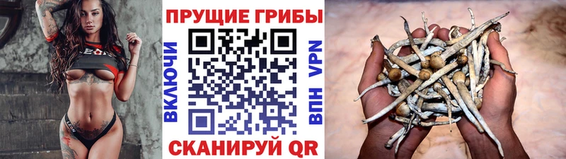 Псилоцибиновые грибы Magic Shrooms  Горняк 